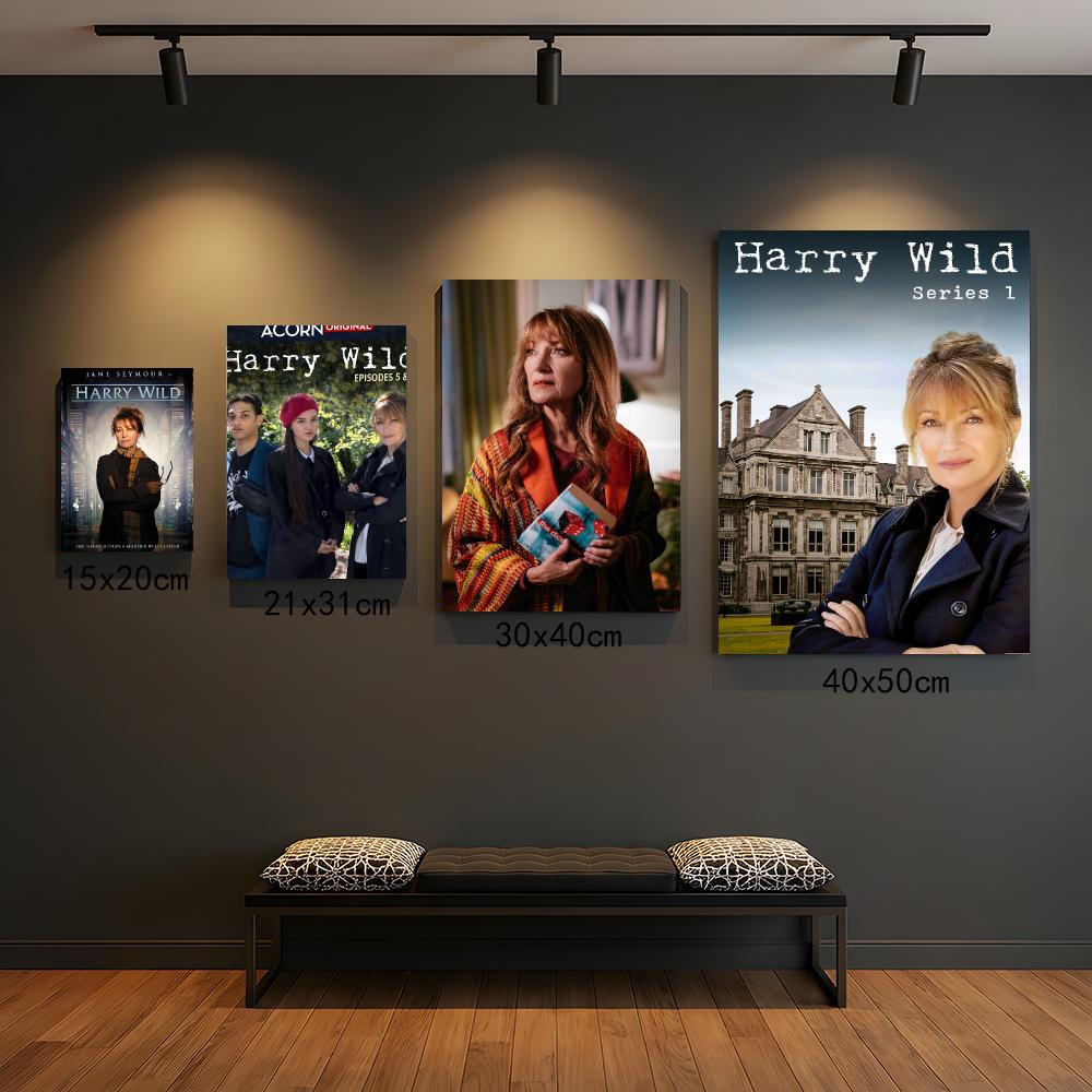 Interior Design Tv Room - serial telewizyjny H-Harry Wild-D Malowanie Kaligrafia