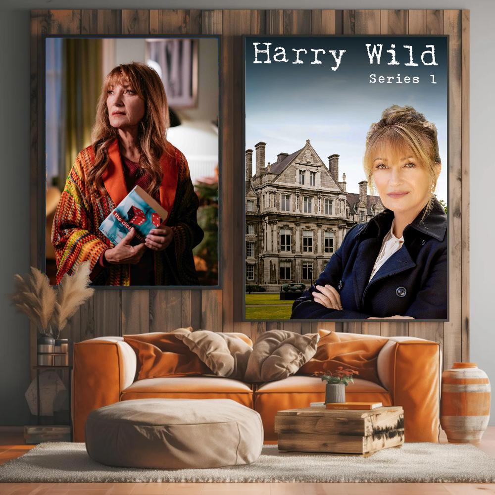 serial telewizyjny H-Harry Wil – Interior Design Tv Room recenzja i cena