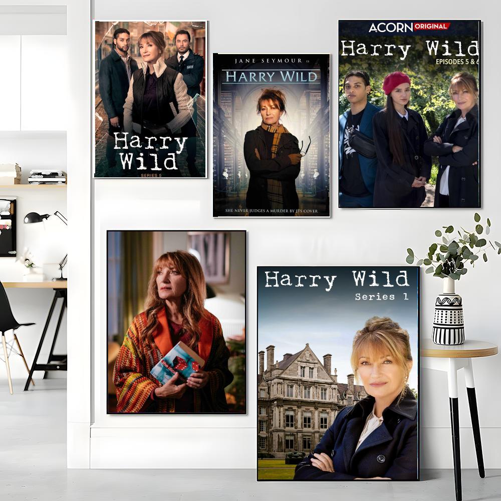 serial telewizyjny H-Harry Wil – Interior Design Tv Room recenzja i cena