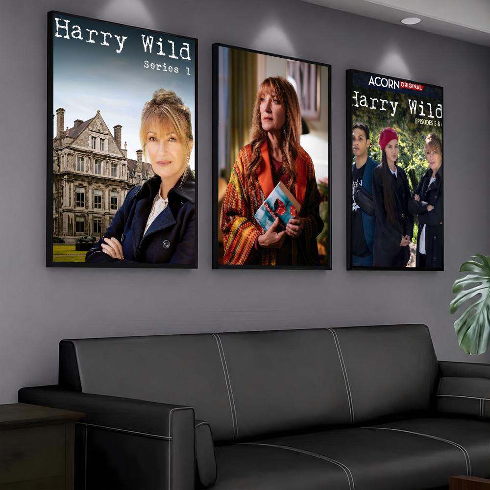 serial telewizyjny H-Harry Wil – Interior Design Tv Room recenzja i cena